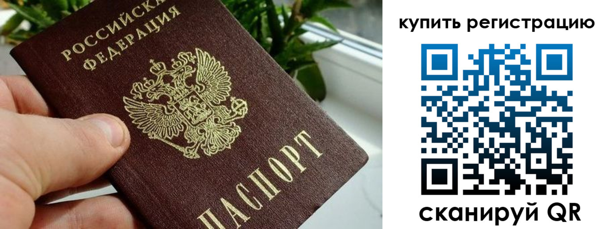 прописка гарантия в Ртищево